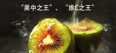 紅心獼猴桃合作社 現摘現發，開啟新鮮水果批發零售新體驗